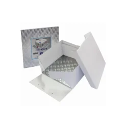 Emballage Alimentaire*PME Boîte à Gâteau Carré avec Support 25x25x15 cm