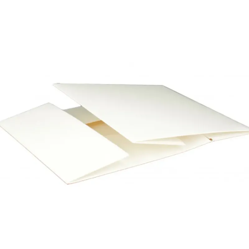 Emballage Alimentaire*CUISINEADDICT Boîte pâtissière blanche - 20 x H 5 cm - (x50)