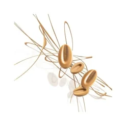 Chocolat De Couverture*VALRHONA Chocolat de Couverture Blond Dulcey 35% 1kg