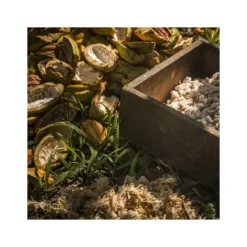 Chocolat De Couverture*VALRHONA Chocolat de Couverture Noir Manjari 64% 250g