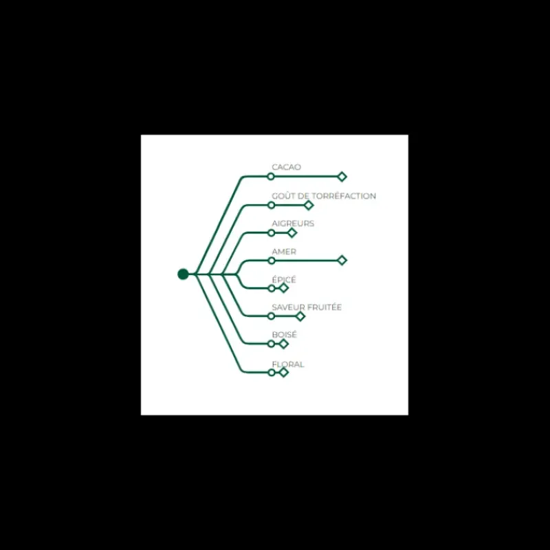 Chocolat De Couverture*BARRY Chocolat Noir Inaya 65% 1 kg