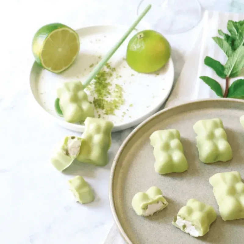 Moule Silicone*SCRAPCOOKING Coffret Oursons Summer Edition Limitée