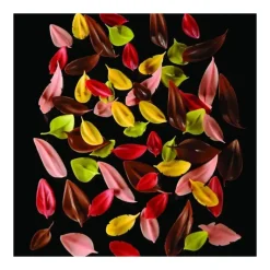 Ustensiles Chocolat*PAVONI Couteau Inox Feuille Large 5 x 3,6 cm Flychoc