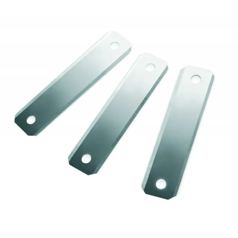 Eplucheurs, Dénoyauteur*IBILI FIN DE SERIE Lame de Rechange Inox pour Éplucheur à Asperge (x3)