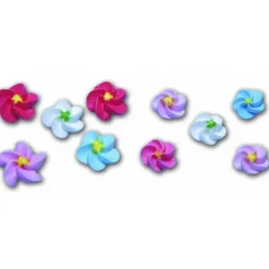 Décoration Comestible*MALLARD FERRIERE Fleur en sucre Myosotis couleurs assorties Ø 1,5 cm (x500) Mallard Ferrière