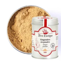Epices*TERRE EXOTIQUE Gingembre en Poudre Biologique 50 g