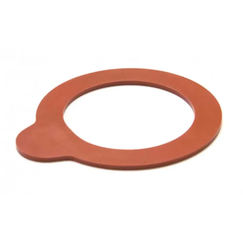 Conservation*LUIGI BORMIOLI Joint Caoutchouc pour Bouteille (x6) Lock Eat