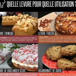 Levures*PATISDECOR Levure Boulangère Sèche 50 g Patisdécor