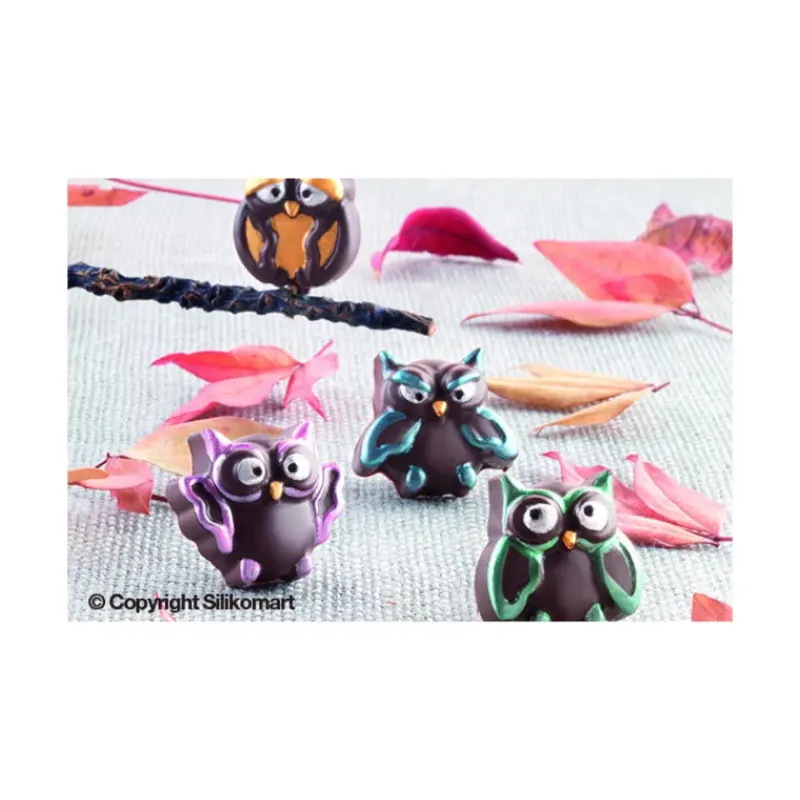 Moules À Chocolat|Moule Silicone*EASY CHOC Moule à Chocolat 12 Hiboux - Silicone Spécial Chocolat