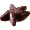 Moules À Chocolat*CHOCOLATE WORLD Moule à Chocolat Etoile de Mer (x2)