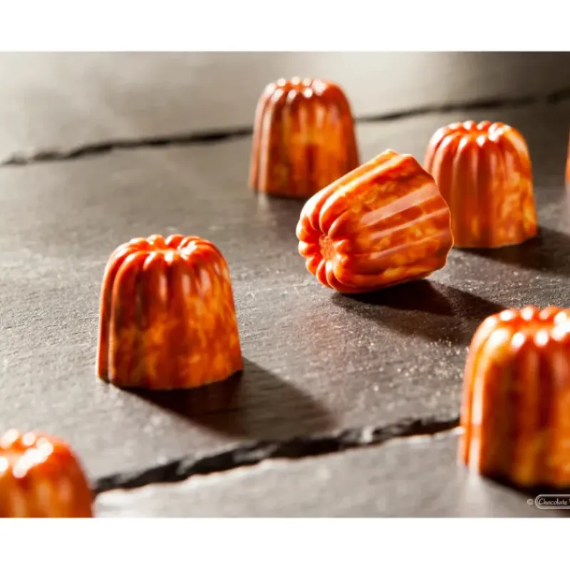 Moules À Chocolat*CHOCOLATE WORLD Moule Chocolat Cannelés 21,5 mm (x21)