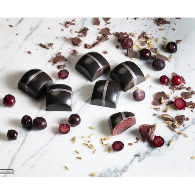 Moules À Chocolat*CHOCOLATE WORLD Moule Chocolat Carré Bombé 25,5 mm (x24)