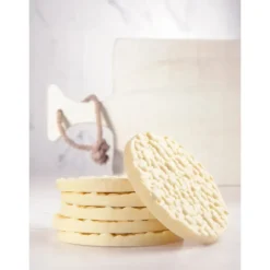 Moules À Chocolat*CHOCOLATE WORLD Moule Chocolat Disque Riz Soufflé Ø 99,13 mm (x2)