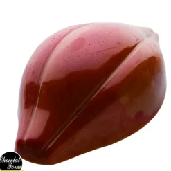 Moules À Chocolat*Chocolat Form Moule Chocolat Fève Cacao 47,5 mm (x24)