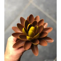 Moules À Chocolat*CHOCOLATE WORLD Moule Chocolat Lentille Oblique 62,5 mm (x14)