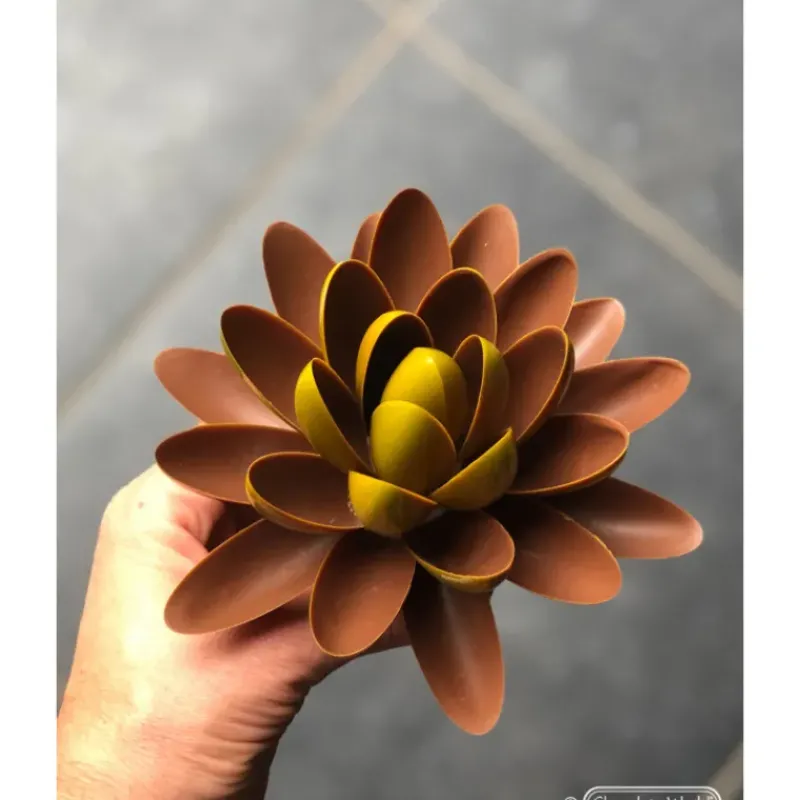 Moules À Chocolat*CHOCOLATE WORLD Moule Chocolat Lentille Oblique 62,5 mm (x14)