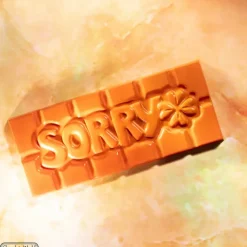 Moules À Chocolat*CHOCOLATE WORLD Moule Chocolat Tablette Sorry (x4)