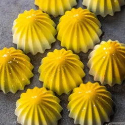 Moules À Chocolat*CHOCOLATE WORLD Moule Chocolat The Juicer 3 cm (x21)