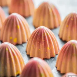 Moules À Chocolat*CHOCOLATE WORLD Moule Chocolat The Juicer 3 cm (x21)