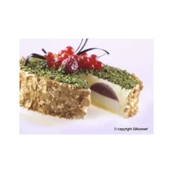 Moule Silicone*SILIKOMART Moule silicone 6 empreintes rondes Ø160 mm