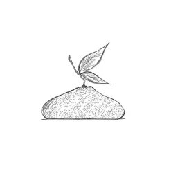 Moule Silicone|Moules À Gâteaux*PAVONI Moule Silicone Citron 1215 ml Cédric Grolet