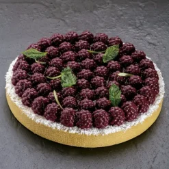 Moule Silicone*PAVONI Moule Silicone Décor Mûres Ø 18 cm x H 2,2 cm