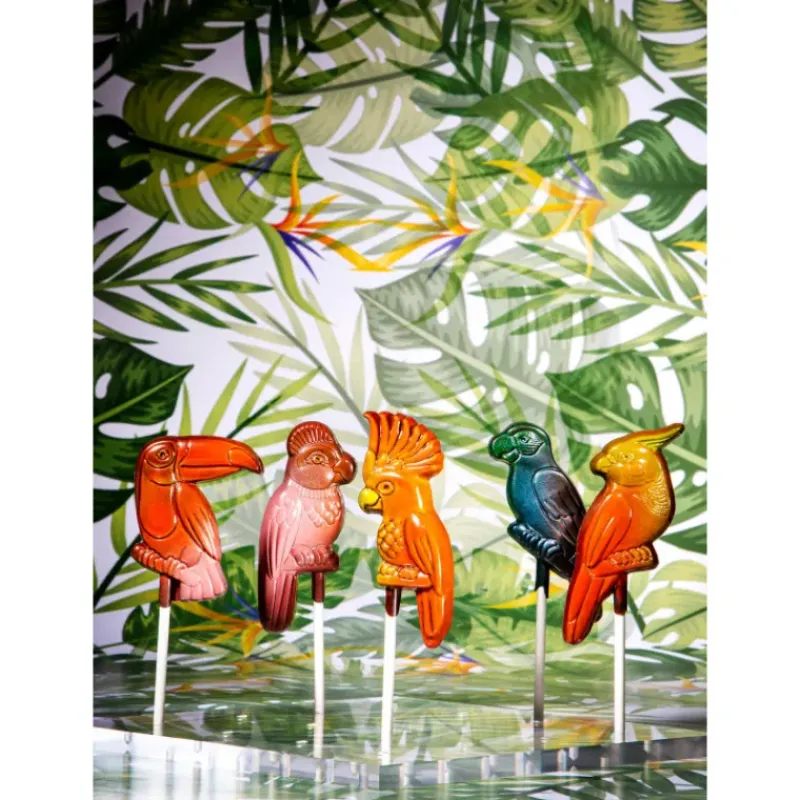 Moules À Chocolat*CHOCOLATE WORLD Moule Sucette Chocolat Oiseau Tropical (x5)