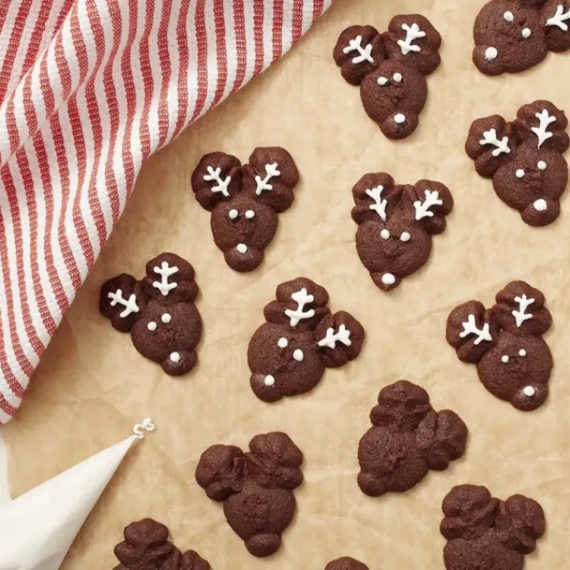 Ustensiles Pâtisserie*WILTON Presse à Biscuits en Métal +12 disques