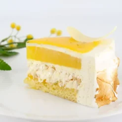 Préparation Pâtisserie*PATISDECOR Préparation Bavarois Gel Citron 100 g Patisdécor