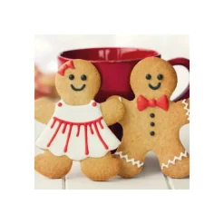 Préparation Pâtisserie*FUNCAKES Préparation pour Biscuit Pain d'Épices 500 g