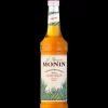 Jus, Sirops*MONIN Sirop Agave 70 cl